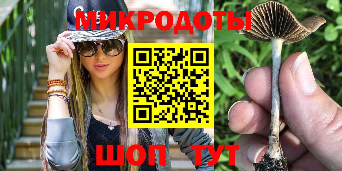 Псилоцибиновые грибы Magic Shrooms Лабинск
